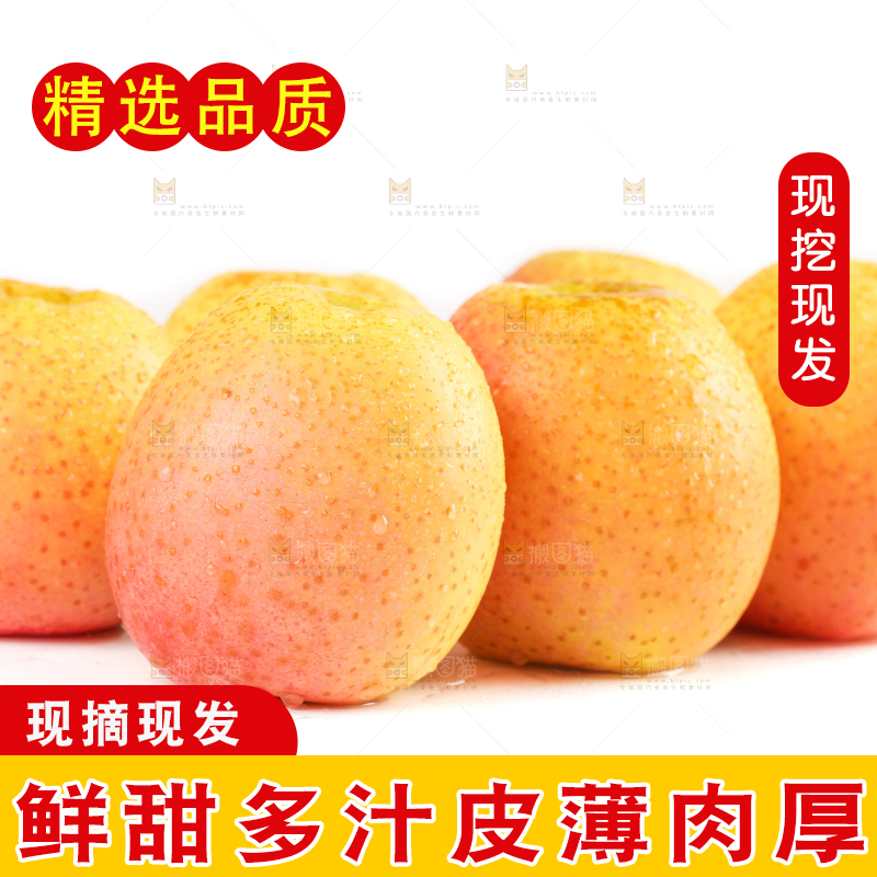 白底上的雀斑美人