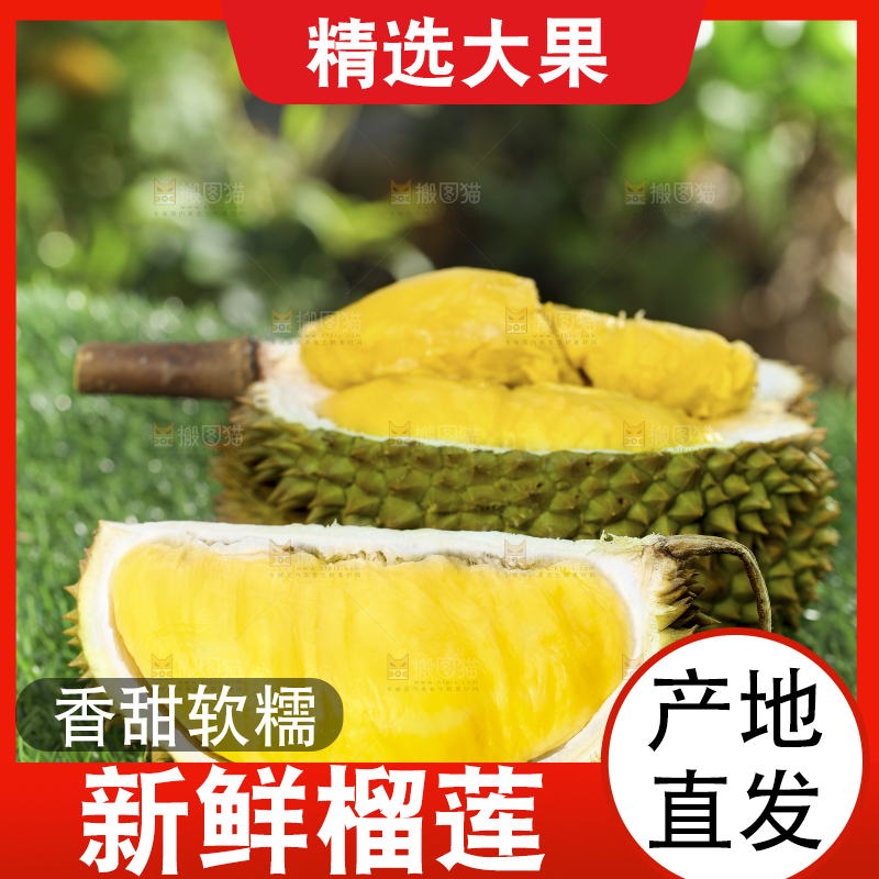 草地上摆放着甲仑榴莲