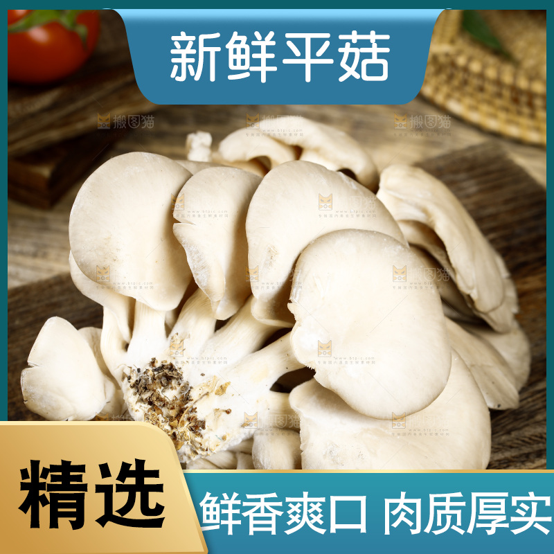 木底上的平菇