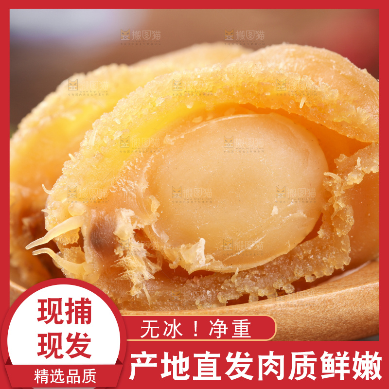 勺子里的干鲍鱼