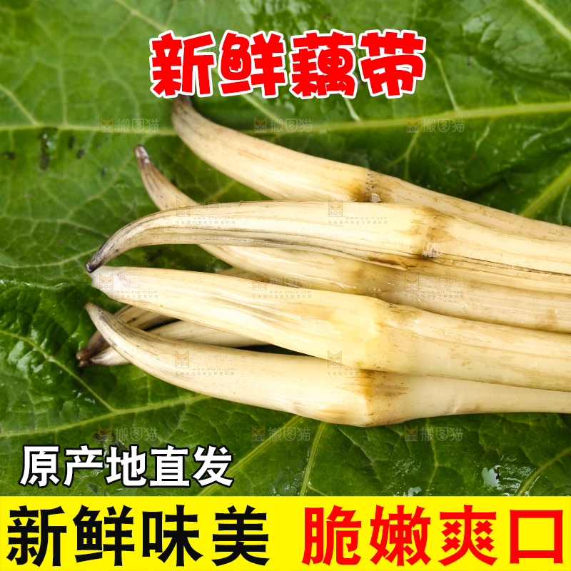 荷叶上放着洪湖藕带