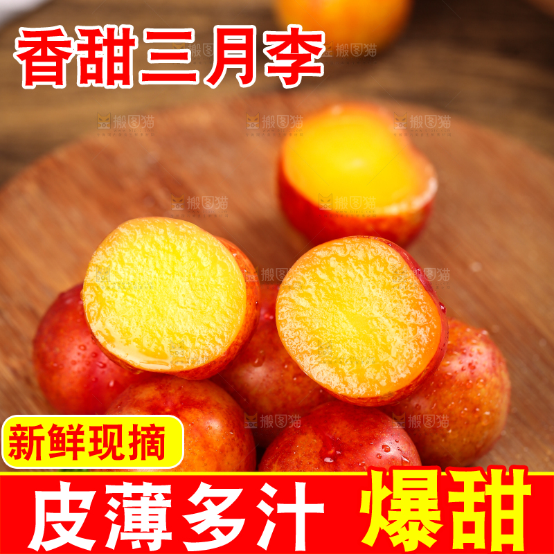 木板上的珍珠李