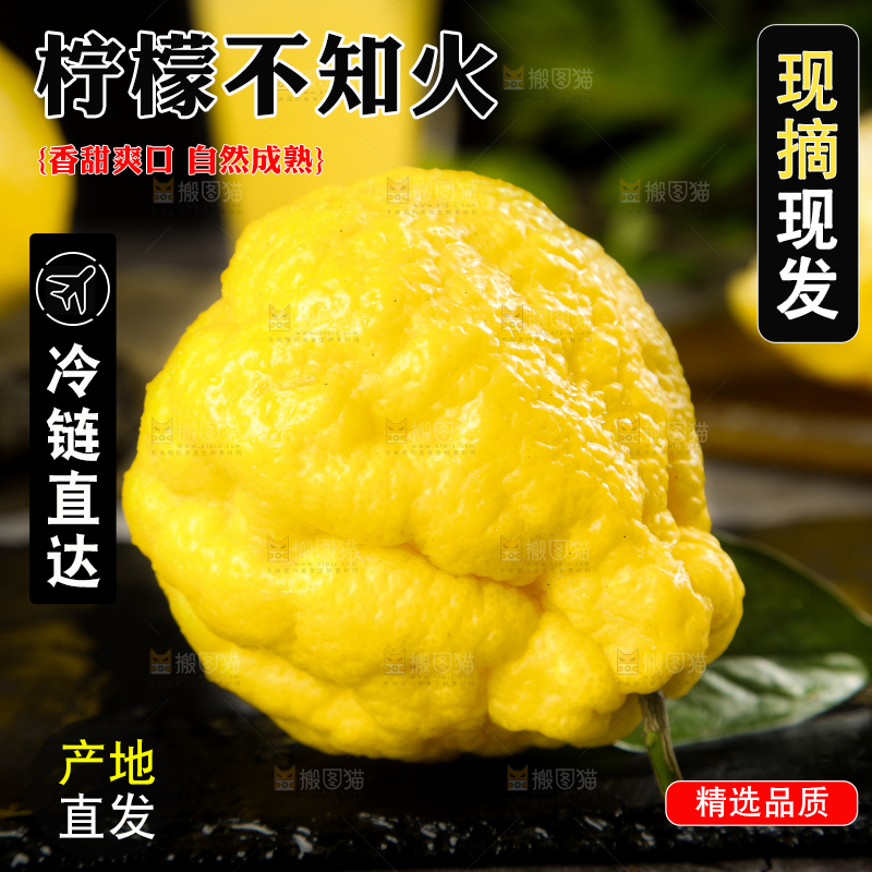 黑石板上放着四川柠檬不知火