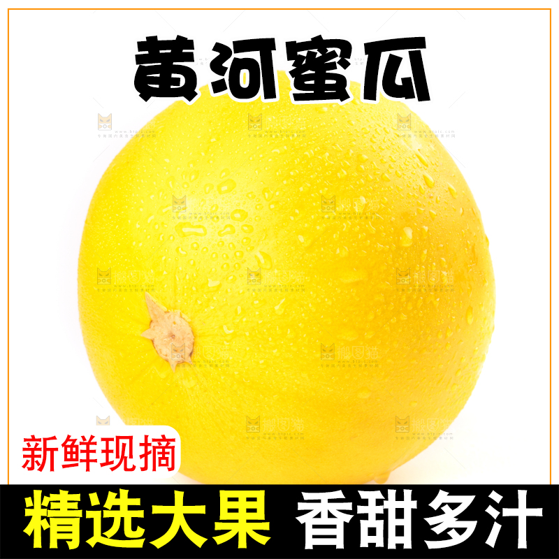 白底上的黄河蜜瓜