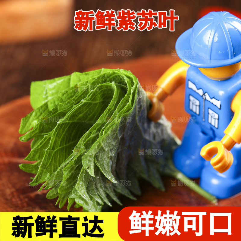 木底上的新鲜紫苏叶