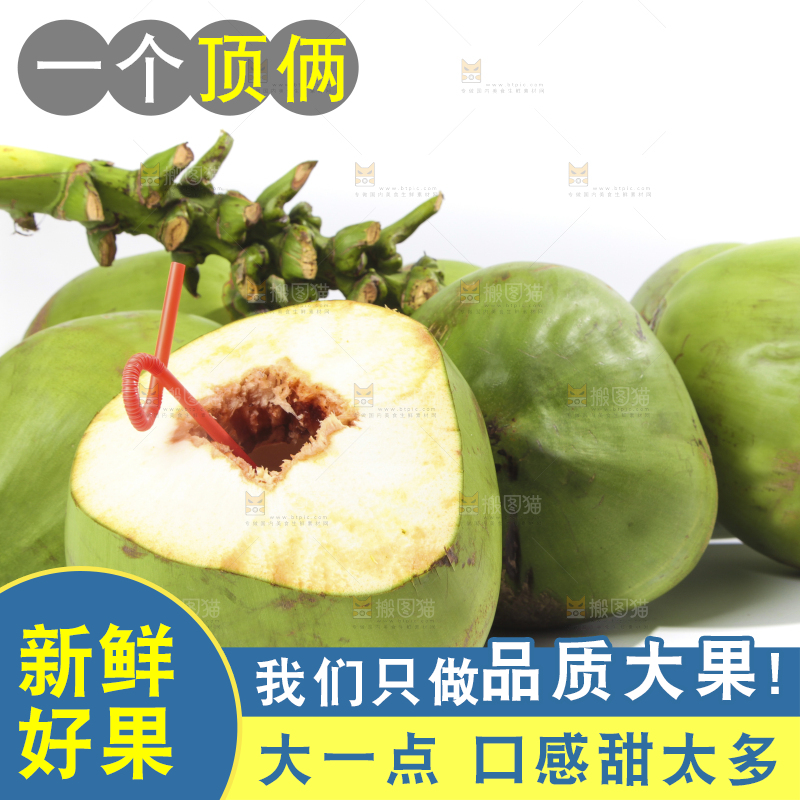 新鲜的泰国椰青放在白底上