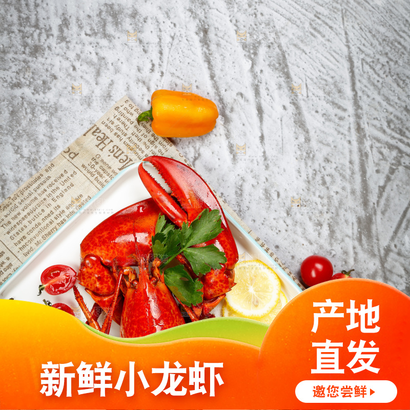 龙虾背景纹理