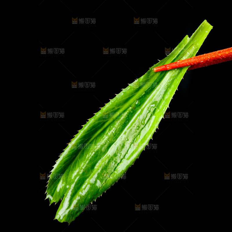 筷子夹着云南大香菜