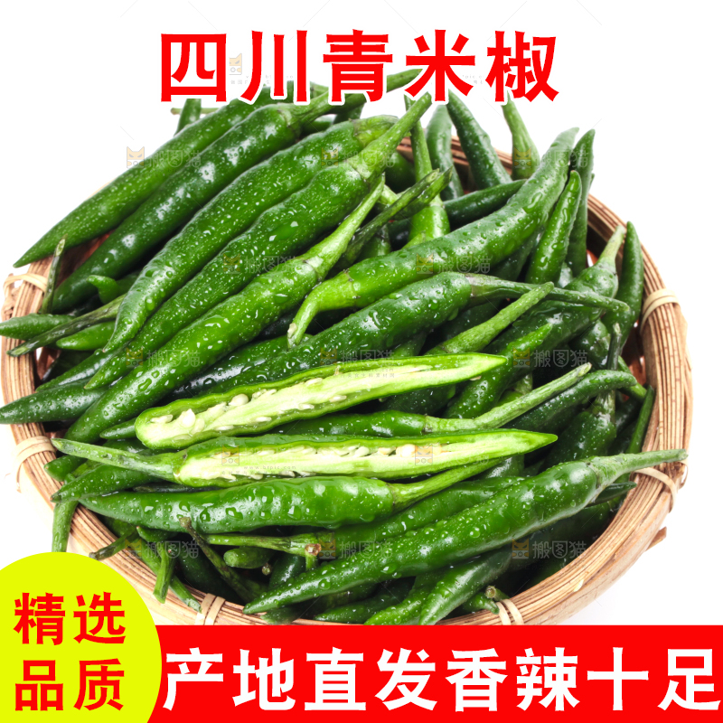 白底上放着一筐新鲜青米椒