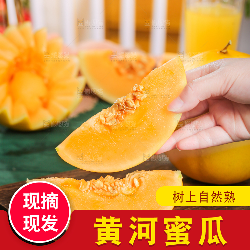 手拿切开的黄金蜜瓜