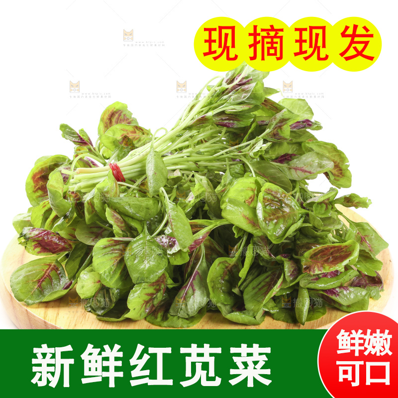 木底上的红苋菜