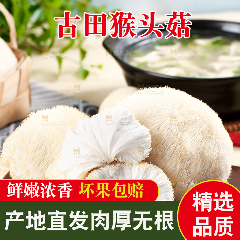 木板上放着长白山猴头菇