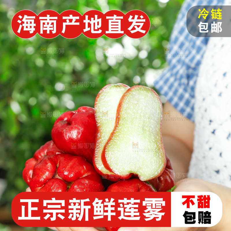 手拿切开的新鲜莲雾
