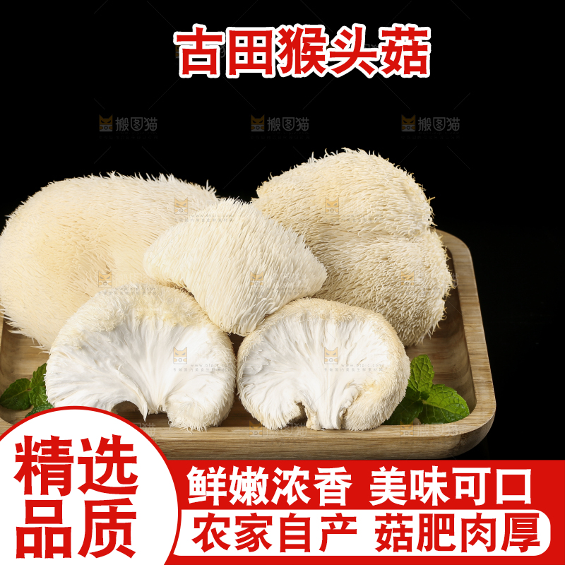 盘子里装着新鲜猴头菇