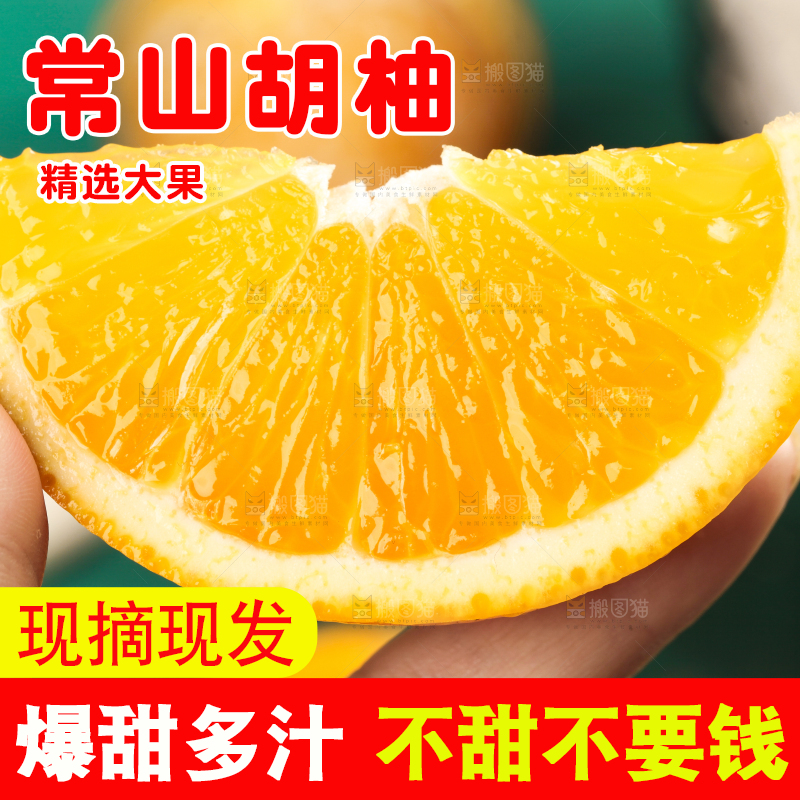 手里拿着新鲜胡柚