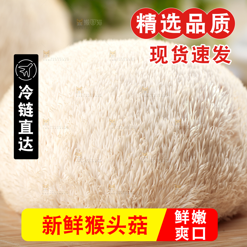 木板上放着长白山猴头菇