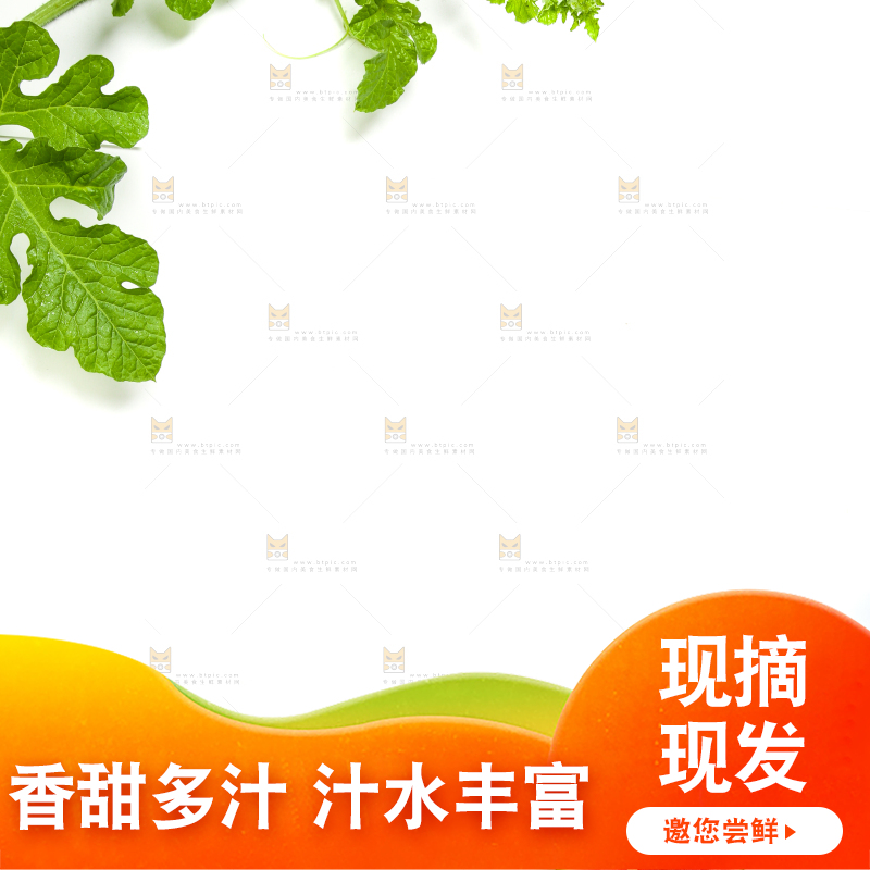 切开的红肉西瓜放在白底上
