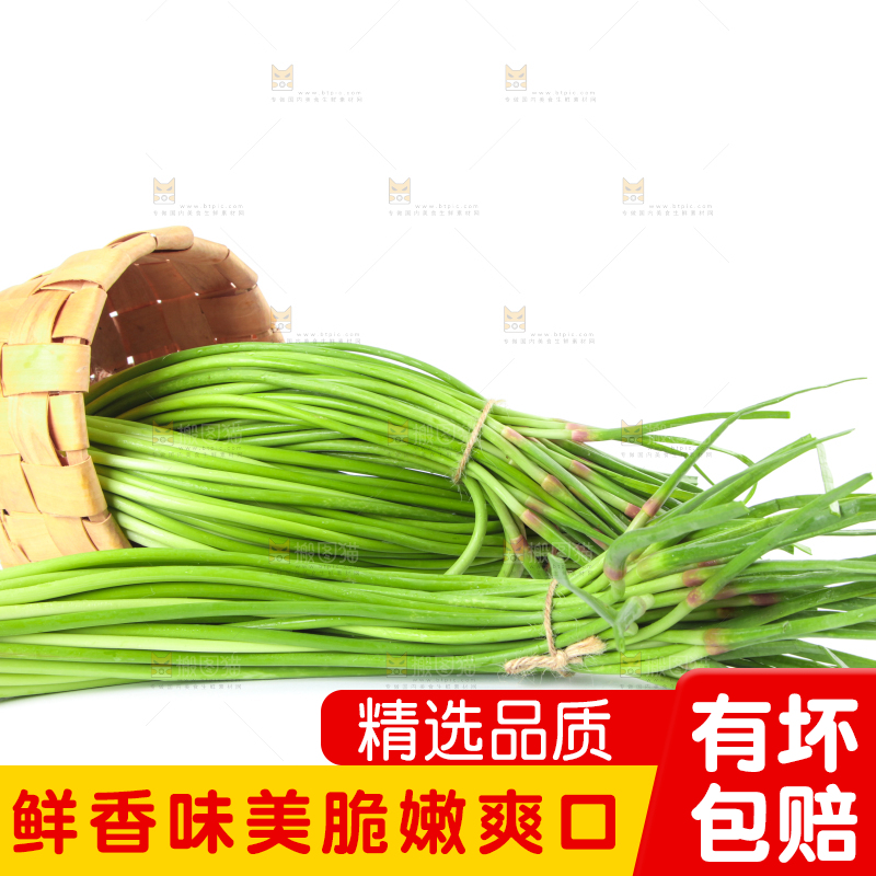 一筐蒜苔放在白底上