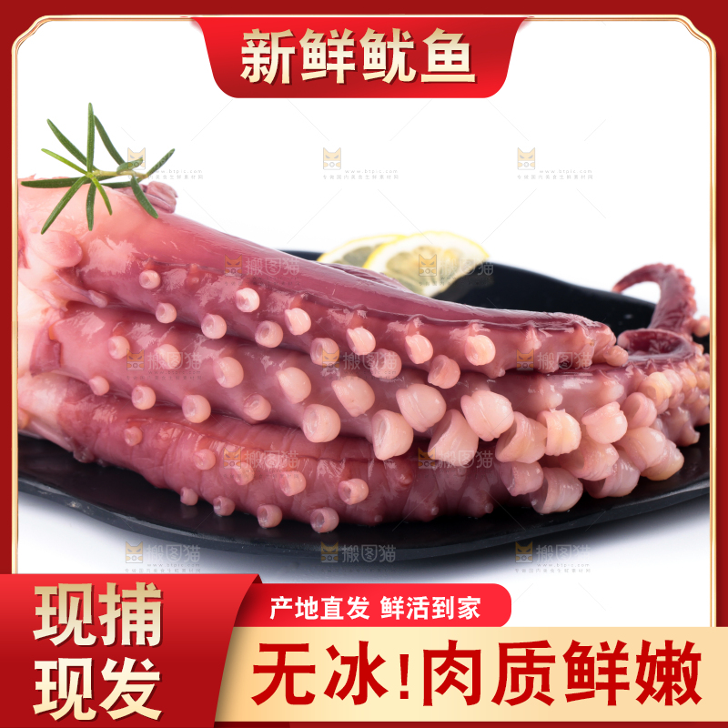 盘子里装着鱿鱼须