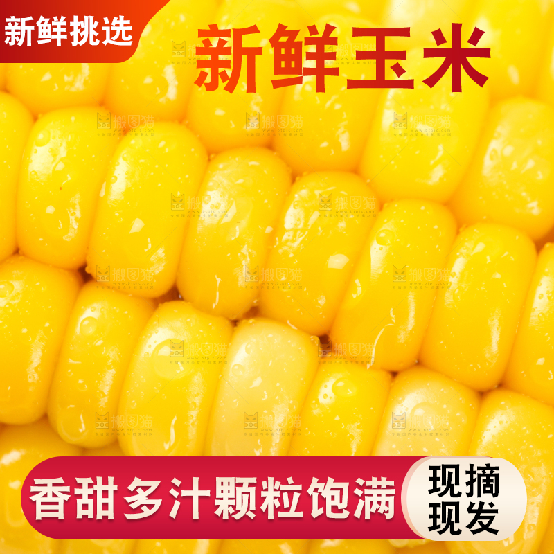 白格子底上放着黄玉米