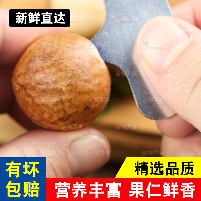 手拿夏威夷果果仁