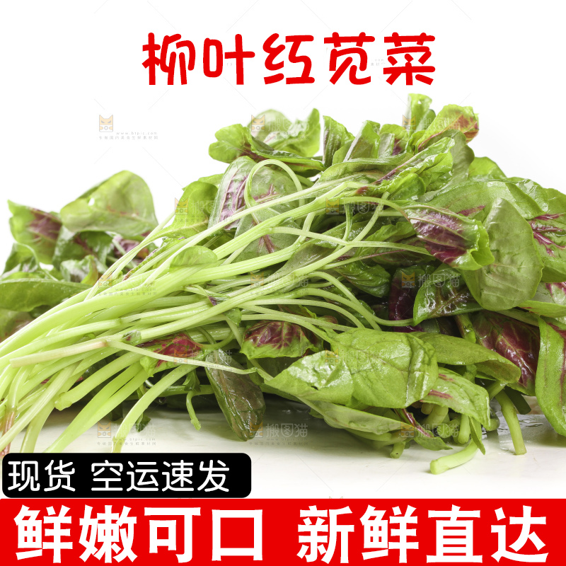 白底上的农家苋菜