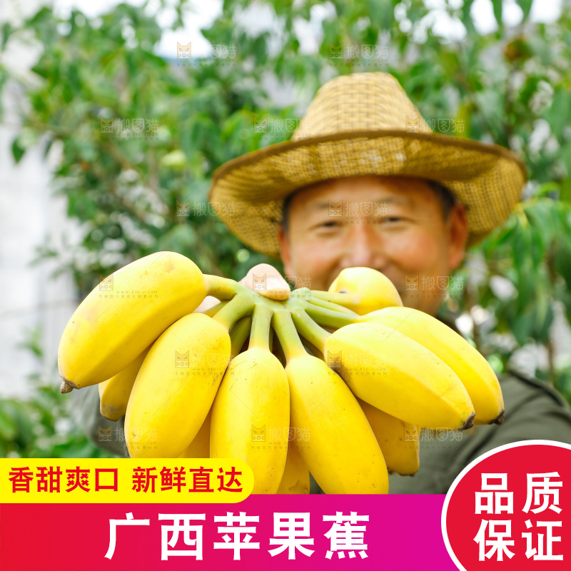手拿一把新鲜的苹果蕉