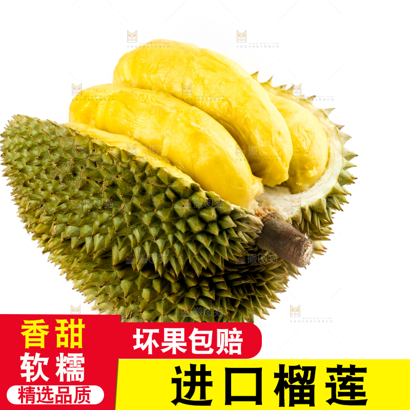 白底上摆放着甲仑榴莲