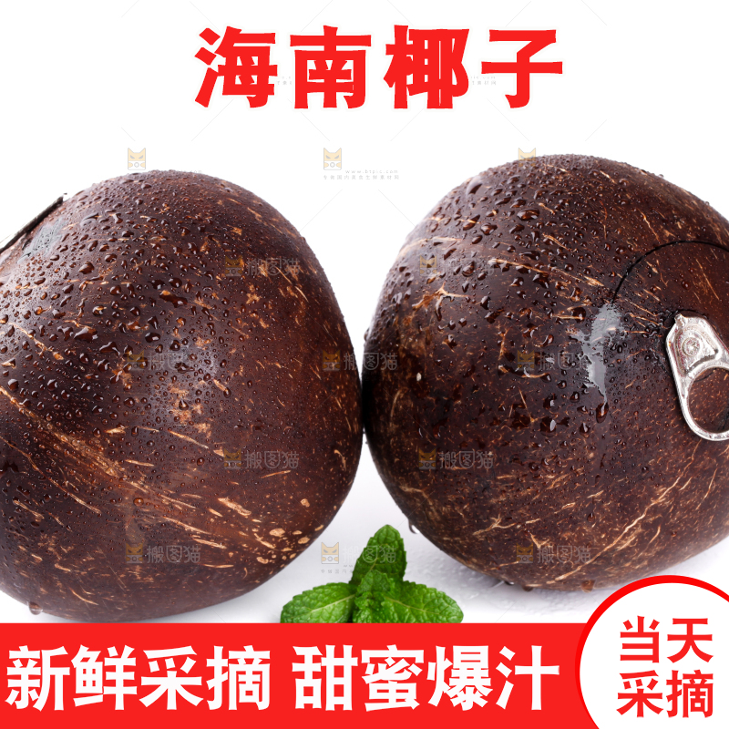 白底上放着海南椰王