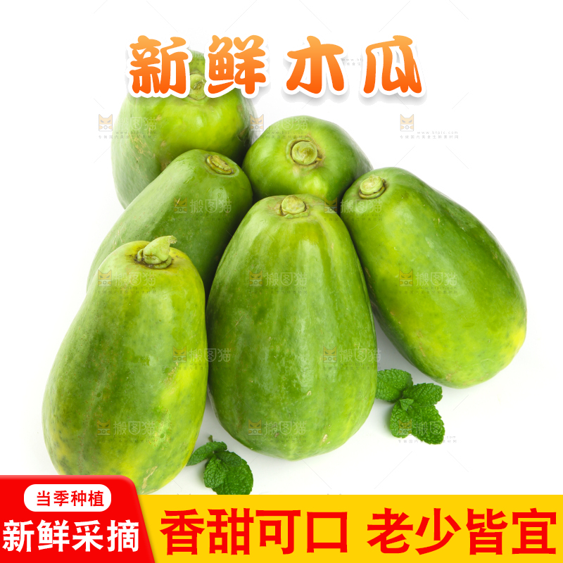 白底上的青木瓜