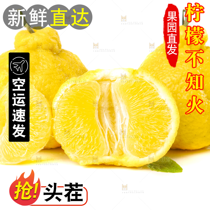 白底上放着四川柠檬不知火