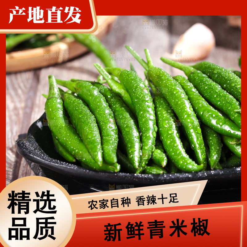 深底上的青小米辣