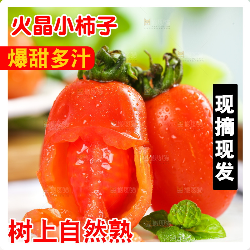 石板上摆放着丹东409小柿子