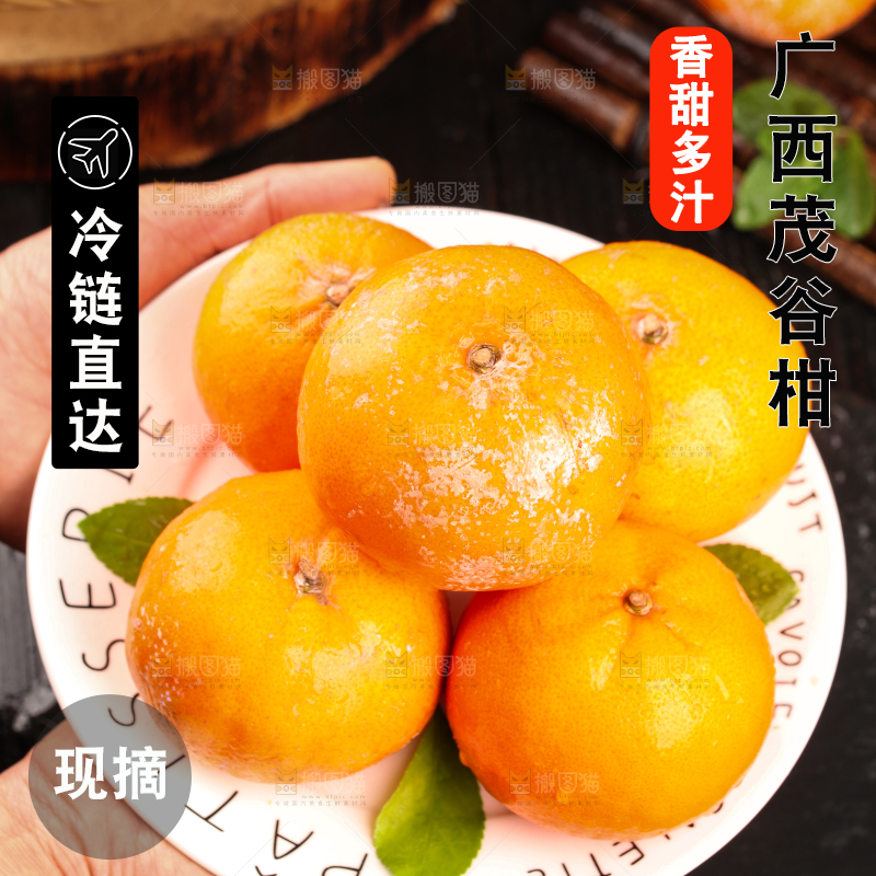 手端一盘茂谷柑