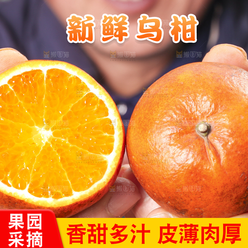 手拿切开的乌柑