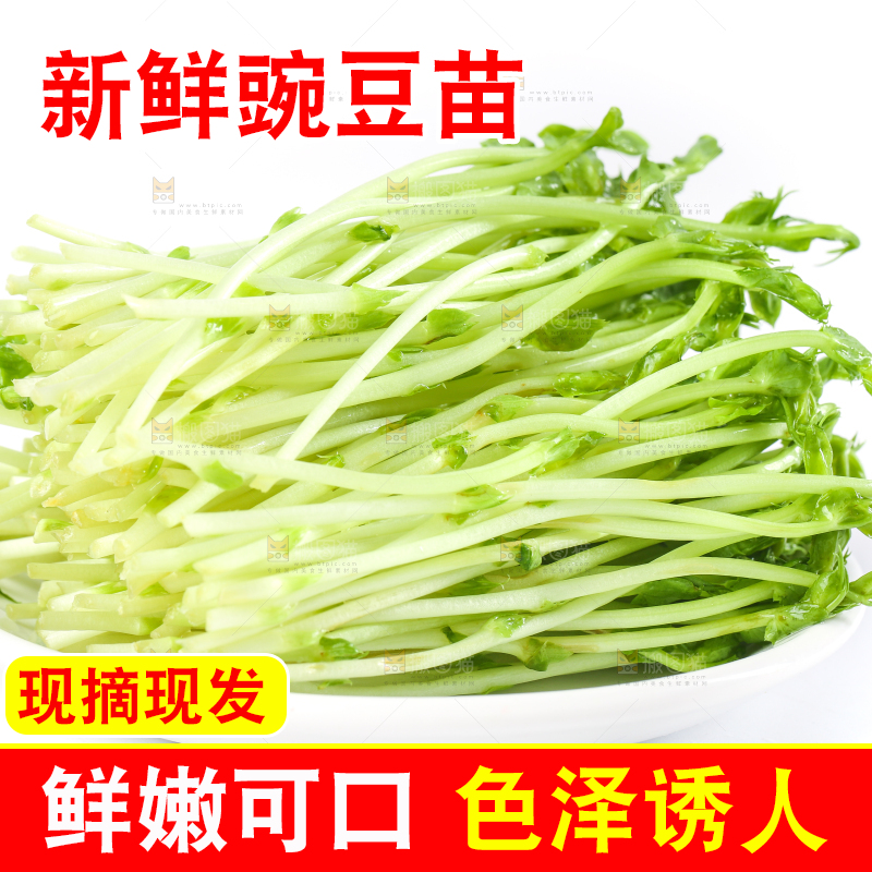 盘子里装着新鲜豌豆芽