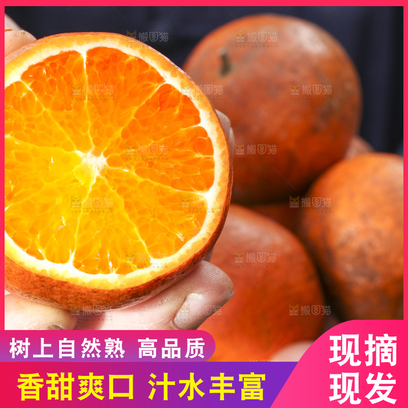 手拿切开的乌柑