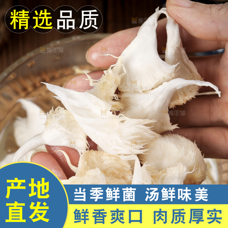 碗里放着东北山猴头菇