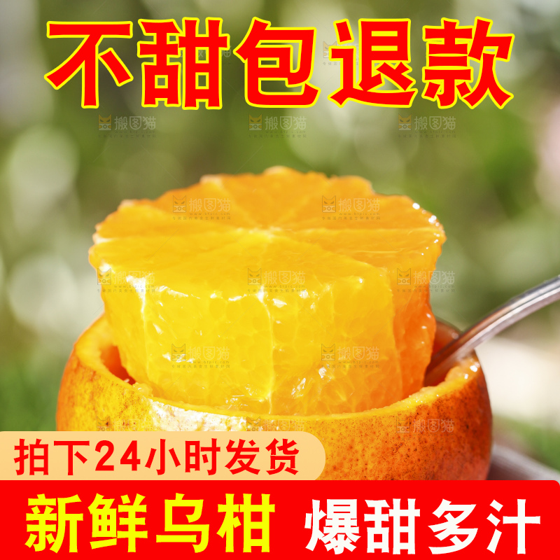 勺子里的乌柑果肉