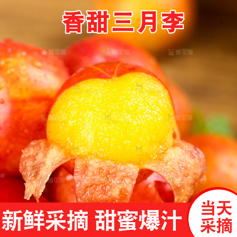 黑石板上放着钱排三月李