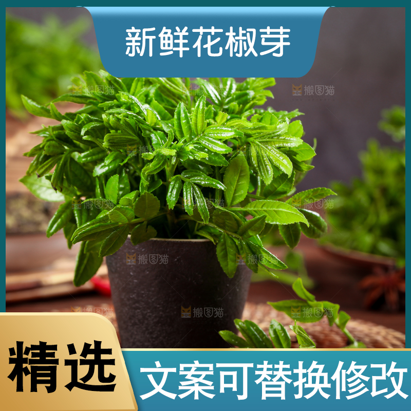 一桶新鲜的花椒芽放在木底上