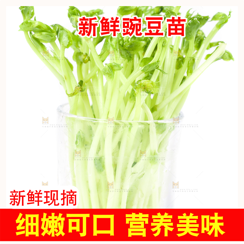 白底上放着豌豆芽菜