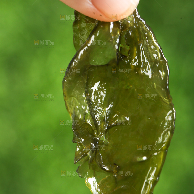 草地上放着地达菜