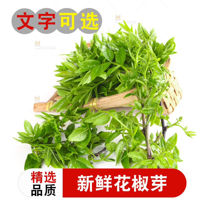 新鲜的花椒芽苗放在白底上