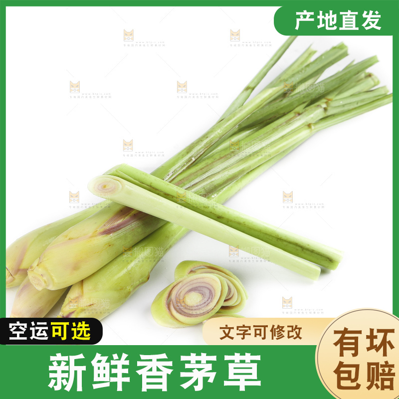 白底上的泰国香茅草