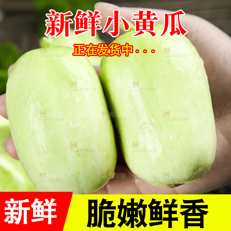 手拿玉女黄瓜