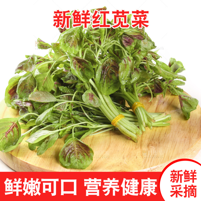 木底上的红苋菜