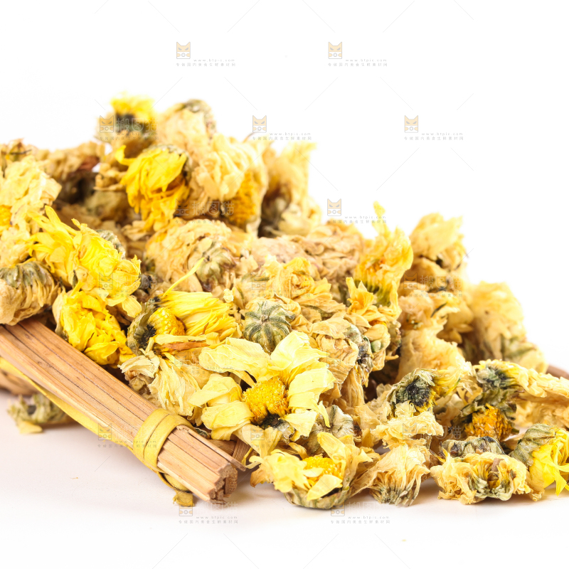 白底上的干菊花