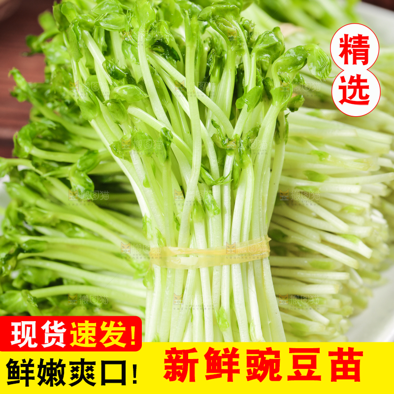 木板上放着豌豆芽