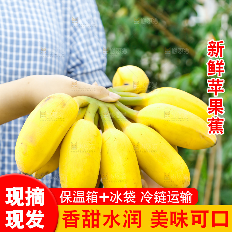 手拿一把新鲜的苹果蕉